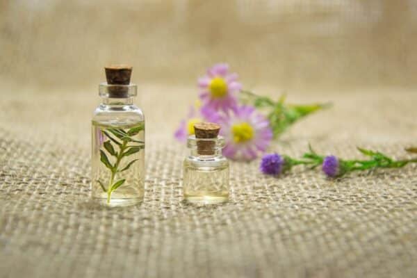 Prendre soin de sa peau avec les huiles essentielles les plus efficaces