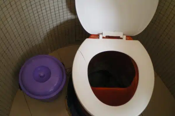 Quel pot de toilette choisir ?