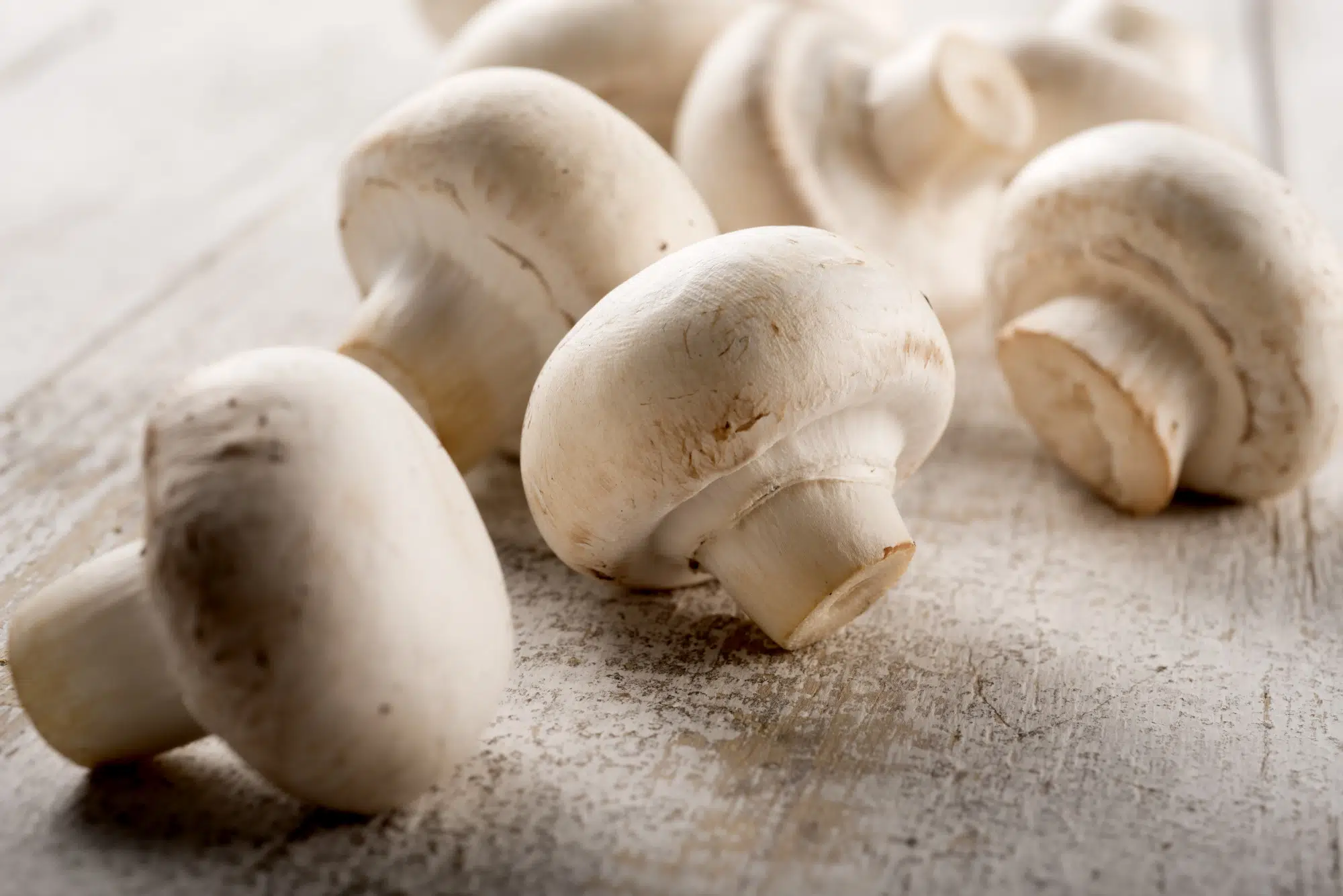 différence  entre  champignon  blanc  et  brun