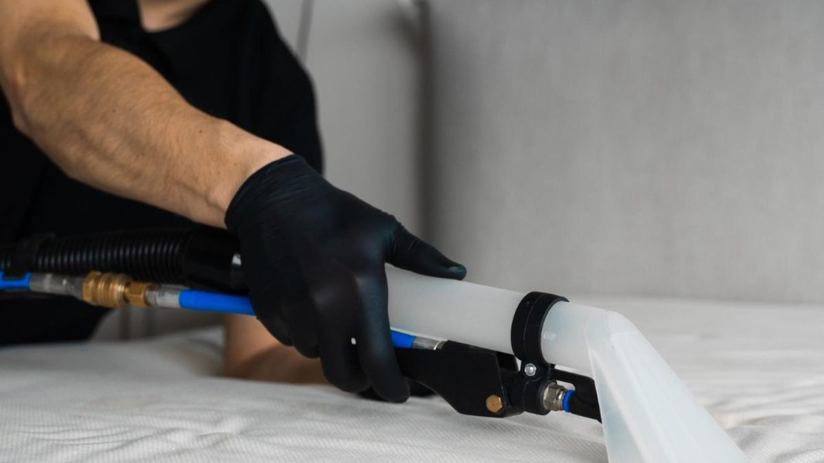Faites appel à un professionnel pour se débarrasser des punaises de lit !